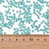8/0 Round Glass Seed Beads SEED-J011-F8-178-4