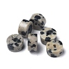 Natural Dalmatian Jasper Beads Strands G-Z006-C17-3