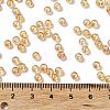 Glass Seed Beads SEED-H002-A-A624-4