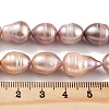 Natural Cultured Freshwater Pearl Beads Strands PEAR-P062-12C-5