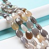 Natural Grey Agate Beads Strands G-L242-31-2