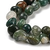 Natural Indian Agate Bead Strands G-P070-51A-4