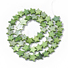 Freshwater Shell Beads Strands SHEL-T014-009C-2