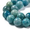 Natural Gemstone Hemimorphite Round Beads Strands G-L145-10mm-01-5