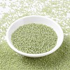 MIYUKI Round Rocailles Beads SEED-G007-RR0378-2
