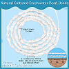 1 Strand Natural Cultured Freshwater Pearl Beads Strands PEAR-PA0001-14-2