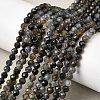 Natural Iolite Beads Strands G-G343-B01-4mm-1