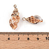 Natural Sea Shell Pendants SSHEL-N038-45-3