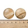 Natural Picture Jasper Cabochons G-B085-02A-07-3