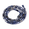 Natural Blue Spot Jasper Beads Strands GG-N002-01A-25-3