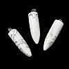 Natural Howlite Pointed Pendants G-F820-12A-1