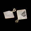 Natural Mixed Stone Pendants G-H359-03G-3