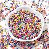 Glass Cylinder Seed Beads SEED-XCP0001-40-2