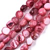Natural Freshwater Shell Beads Strands SHEL-S276-110A-06-1