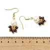 Natural Mixed Stone & Natural Cultured Freshwater Pearl Beads Dangle Earrings EJEW-JE06984-4