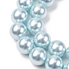 Electroplated Shell Pearl Beads Strands BSHE-G041-12mm-03-3