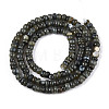 Natural Freshwater Shell Dyed Beads Strands SHEL-T020-29A-01-2