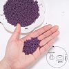 Ornaland 12/0 Glass Seed Beads SEED-OL0001-04-25-2