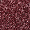 MIYUKI Delica Beads X-SEED-J020-DB2119-3
