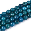 Dyed Natural White Jade Beads Strands G-T139-6mm-60-21-4