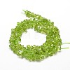 Natural Olive Quartz Chip Beads Strands G-E271-89-2