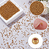 100G Glass Seed Beads SEED-SP0001-12A-01-6