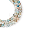 4 Strands 4 Style Natural Frosted Flower Amazonite Round Beads G-TA0001-31-2