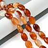 Natural Red Agate(Dyed & Heated) Beads Strands G-K365-B02-01-2