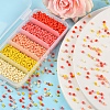 1900Pcs 5 Colors Baking Paint Glass Seed Beads SEED-YW0001-76B-4