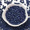 Baking Painted Glass Seed Beads SEED-C004-04N-2