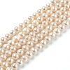 Natural Cultured Freshwater Pearl Beads Strands PEAR-L033-20-1