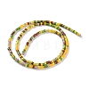 Handmade Czech Lampwork Beads Strands LAMP-L078-008H-2