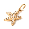 304 Stainless Steel Micro Pave Clear Cubic Zirconia Charms CU-CBA703A-01G-02-2