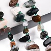 Natural Indian Agate Beads Strands G-Z091-A24-1