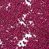 Baking Paint Glass Seed Beads SEED-S042-05B-70-3