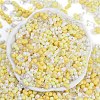 Glass Seed Beads X1-SEED-K010-03A-3