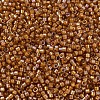 MIYUKI Delica Beads SEED-J020-DB1734-3