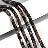 Natural Biotite Beads Strands G-T141-88B-1