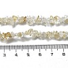 Natural Citrine Chip Beaded Necklaces for Men Women NJEW-G159-01H-5