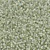 MIYUKI Delica Beads SEED-J020-DB1765-3