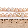 Natural Cultured Freshwater Pearl Beads Strands PEAR-I007-07Z-01B-5