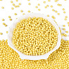 Baking Paint Pearlized Glass Seed Beads SEED-T007-21A-03-1
