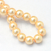 Baking Painted Pearlized Glass Pearl Round Bead Strands HY-Q003-10mm-61-4