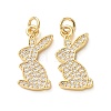 Brass Micro Pave Clear Cubic Zirconia Pendants CU-E003-18G-09-1