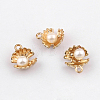 Alloy Charms PALLOY-N0118-267-1