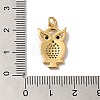 Rack Plating Brass Micro Pave Cubic Zirconia Pendants KK-K377-41G-3