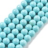 Synthetic Turquoise Beads Strands G-A255-A04-01B-1