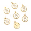 Brass Micro Pave Clear Cubic Zirconia Charms ZIRC-I052-16G-05-1
