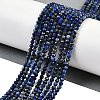 Natural Lapis Lazuli Beads Strands G-Z035-A01-02A-5