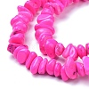 Natural Magnesite Beads Strands X-TURQ-P001-02A-09-3